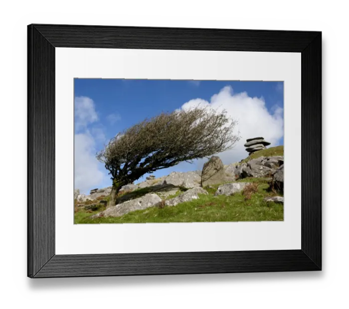 Framed Print : Windswept stones on Bodmin Moor Framed Print : Windswept stones on Bodmin Moor