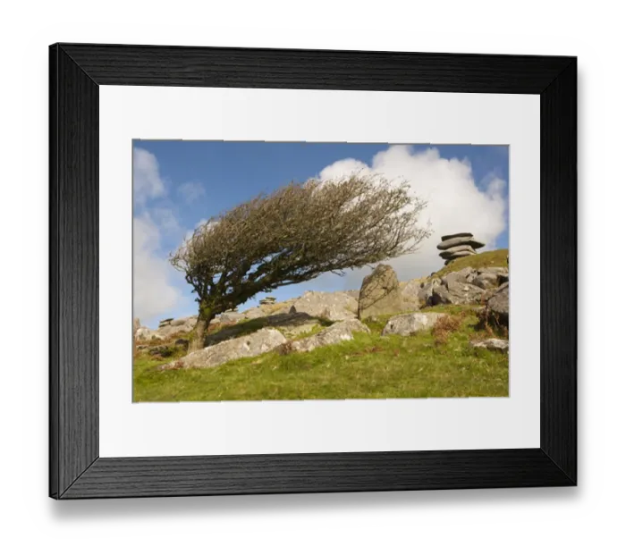 : Windswept stones on Bodmin Moor 2 : Windswept stones on Bodmin Moor 2