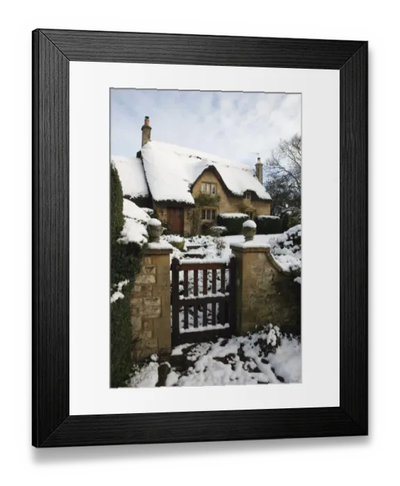 Framed Print : Best of the Best