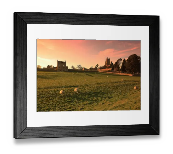 Framed Print : Best of the Best Framed Print : Best of the Best