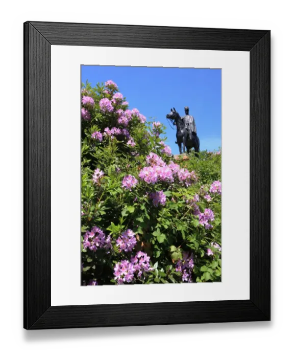 Framed Print : Statue of 1st Duke of Wellington at Round Hill Aldershot Framed Print : Statue of 1st Duke of Wellington at Round Hill Aldershot