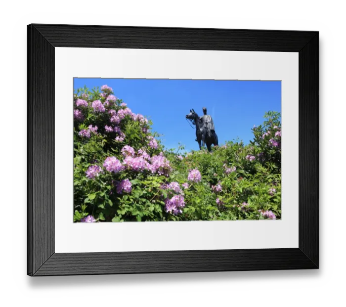 Framed Print : Statue of 1st Duke of Wellington at Round Hill Aldershot Framed Print : Statue of 1st Duke of Wellington at Round Hill Aldershot