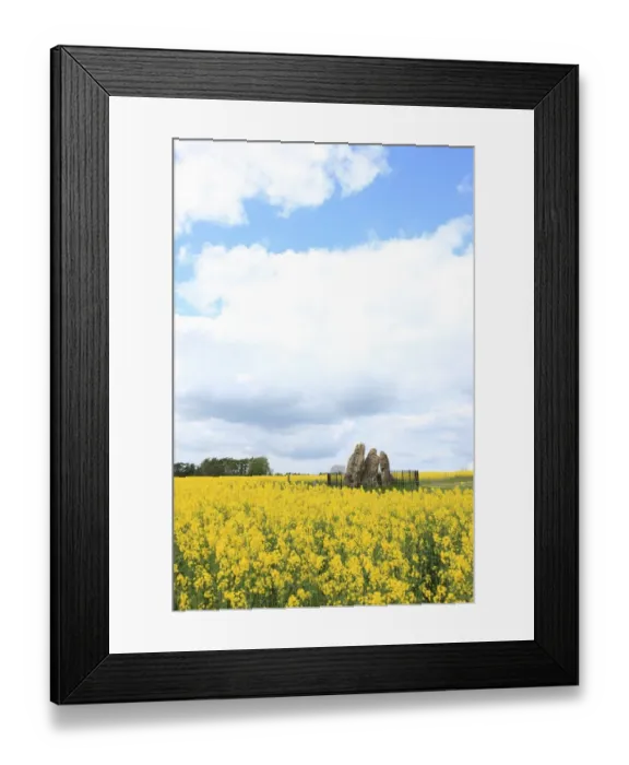 Framed Print : Rollright Stones Framed Print : Rollright Stones