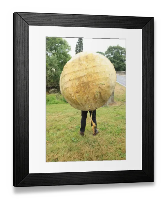Framed Print : Corracles. Peter Faulkner who builds Coracles on the river at Leintwardine Shropshire Framed Print : Corracles. Peter Faulkner who builds Coracles on the river at Leintwardine Shropshire
