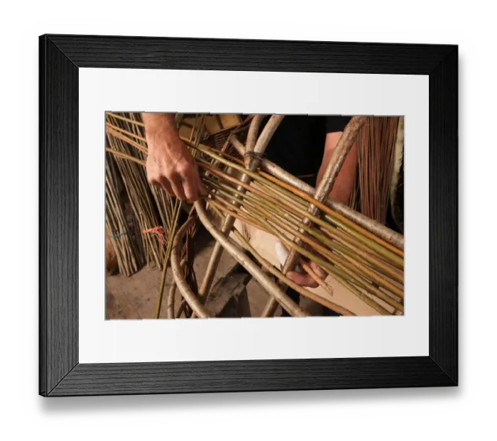 Framed Print : Corracles. Peter Faulkner building Coracles in his workshop at Leintwardine Shropshire Framed Print : Corracles. Peter Faulkner building Coracles in his workshop at Leintwardine Shropshire