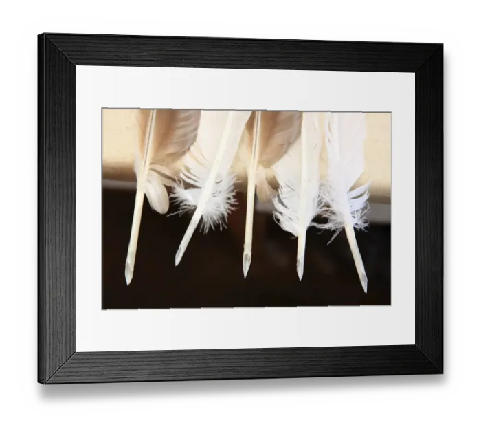 Framed Print : Quill Pens Framed Print : Quill Pens