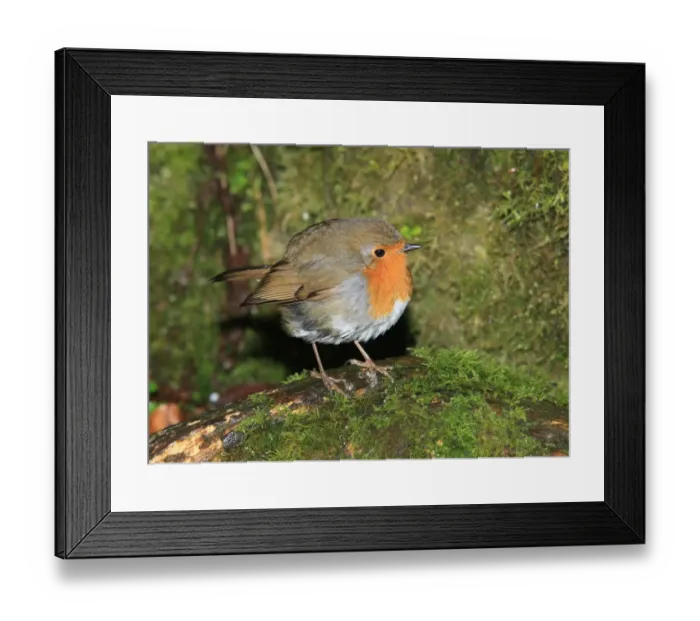 Framed Print : Glass Bowing Framed Print : Glass Bowing