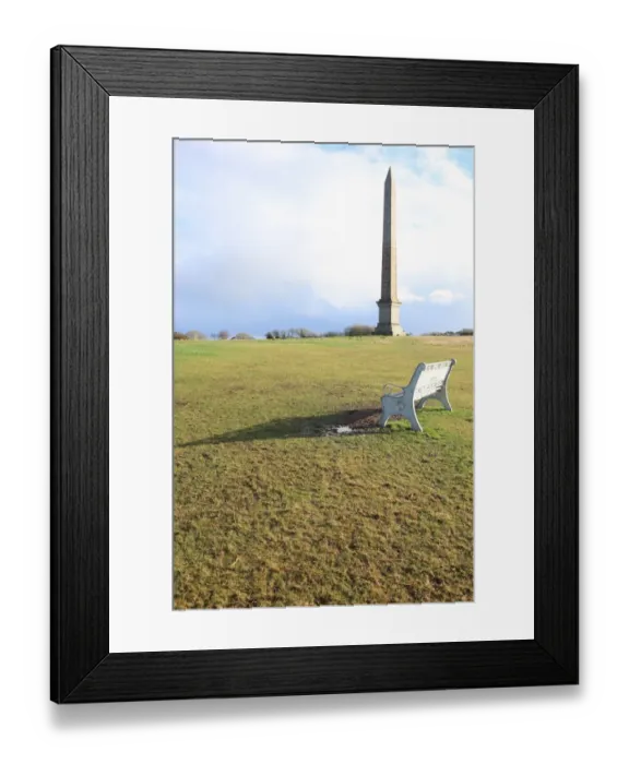 Framed Print : 4017-2 Framed Print : 4017-2