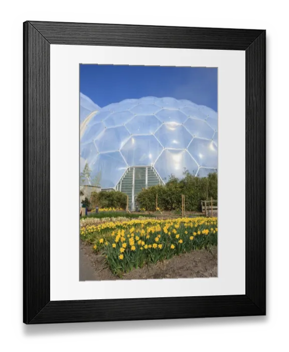 Framed Print : Eden Project Framed Print : Eden Project
