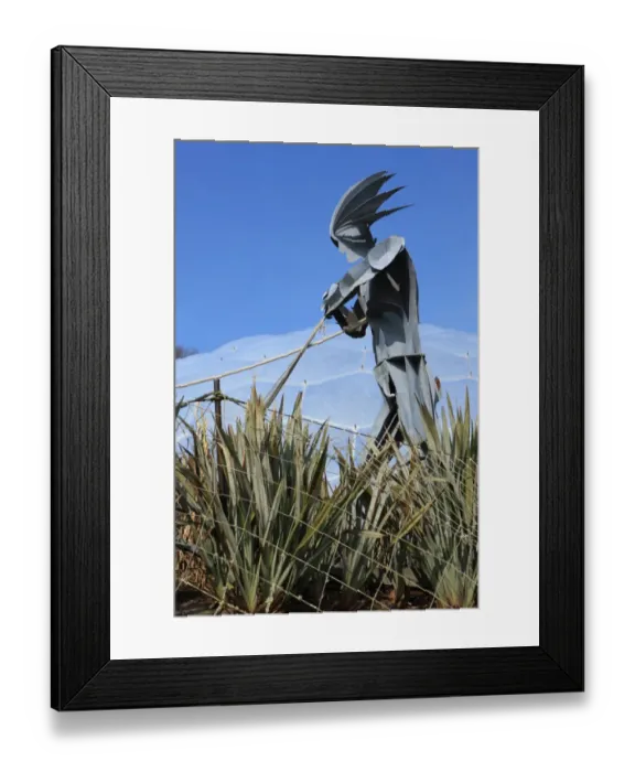 Framed Print : Eden Project Framed Print : Eden Project