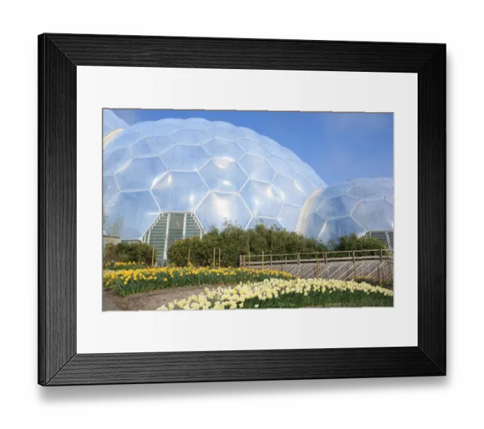 Framed Print : Eden Project Framed Print : Eden Project
