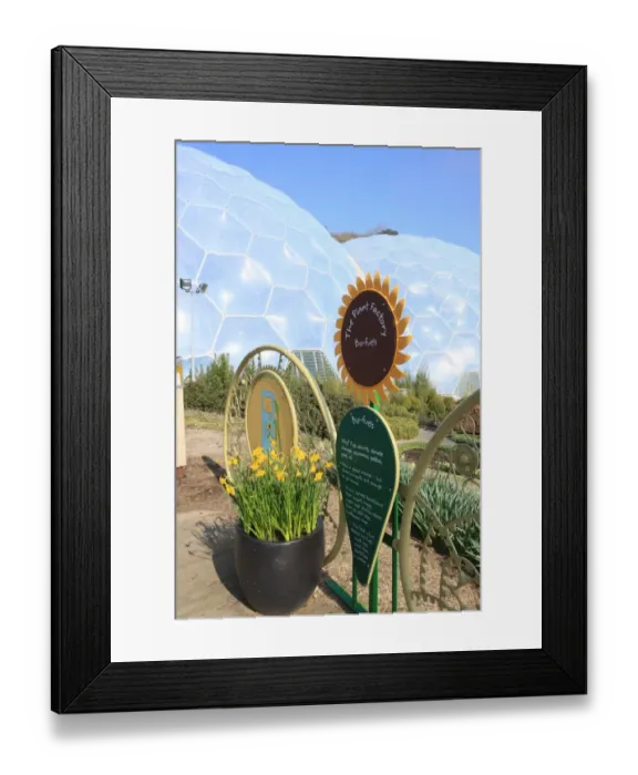 Framed Print : Eden Project Framed Print : Eden Project