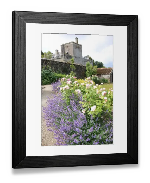 Framed Print : Buckland Abbey Framed Print : Buckland Abbey