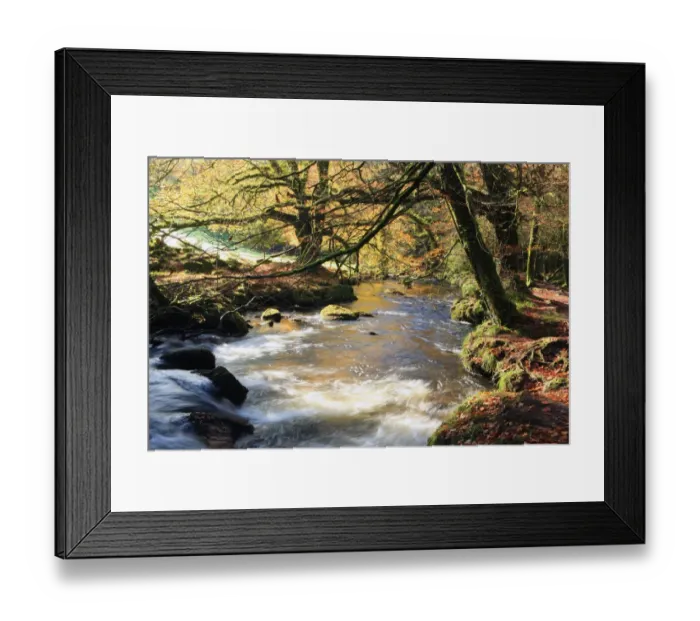 Framed Print : Golitha Falls Framed Print : Golitha Falls