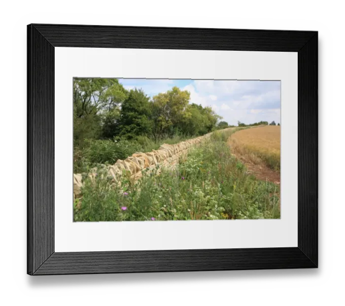 Framed Print : Walling. New cotswold stone wall on Leckhampton Hill near Cheltenham Framed Print : Walling. New cotswold stone wall on Leckhampton Hill near Cheltenham