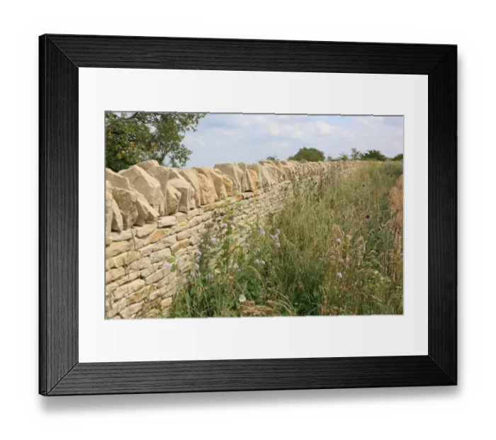 Framed Print : Walling. New cotswold stone wall on Leckhampton Hill near Cheltenham Framed Print : Walling. New cotswold stone wall on Leckhampton Hill near Cheltenham