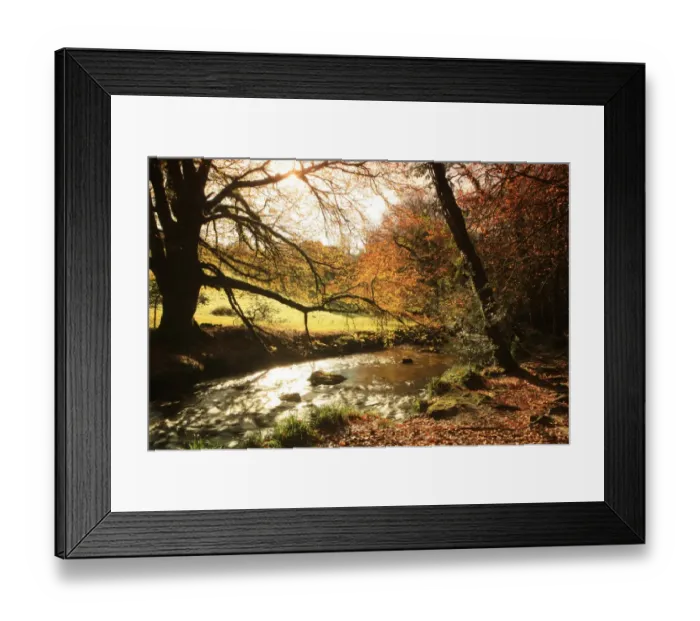 Framed Print : Golitha Falls Framed Print : Golitha Falls