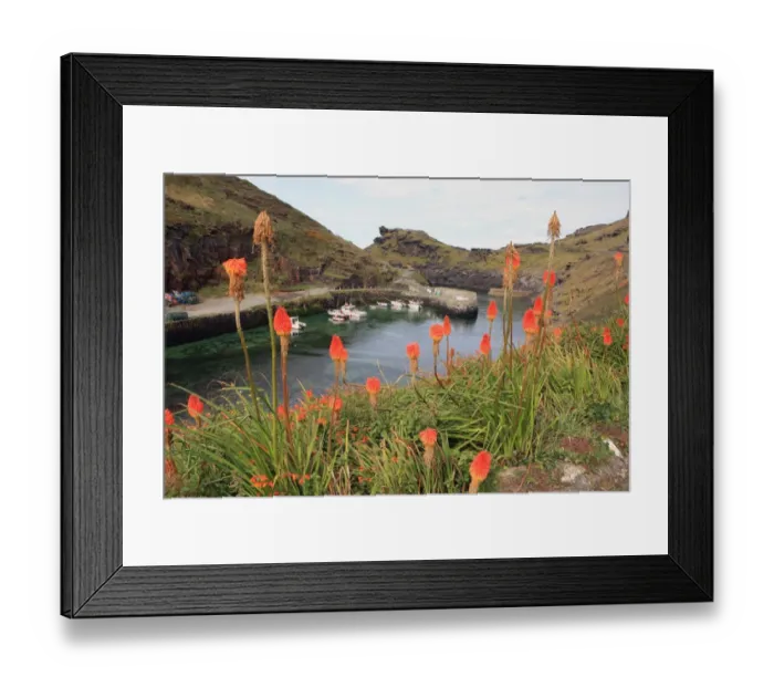 Framed Print : Boscastle. The harbour at Boscastl on the North Cornish coast Framed Print : Boscastle. The harbour at Boscastl on the North Cornish coast