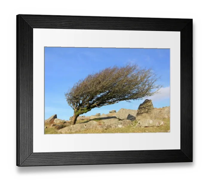 Framed Print : Chessewring Framed Print : Chessewring