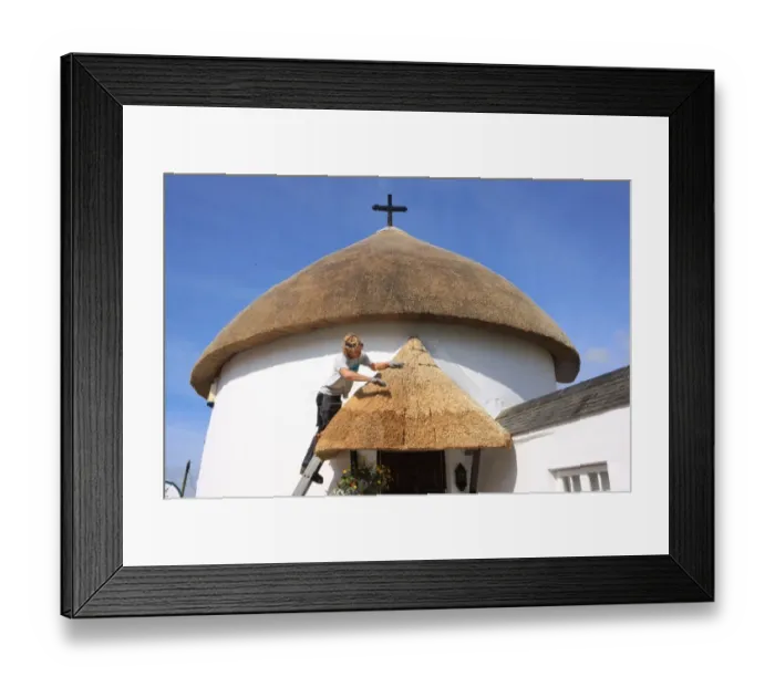 Framed Print : Thatching. A thatcher works on a round cottage in the village of Vergan Cornwall Framed Print : Thatching. A thatcher works on a round cottage in the village of Vergan Cornwall