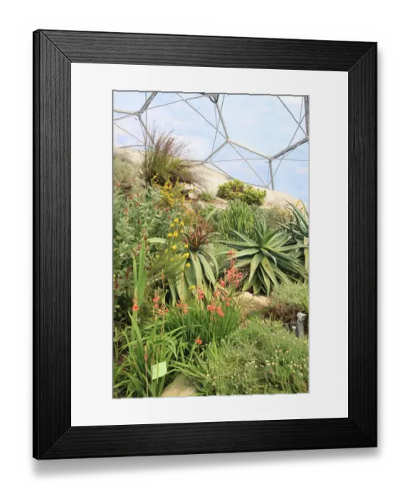 Framed Print : Eden Project Framed Print : Eden Project