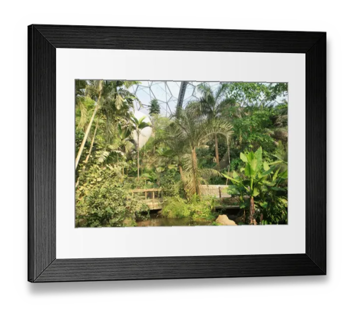 Framed Print : Eden Project Framed Print : Eden Project
