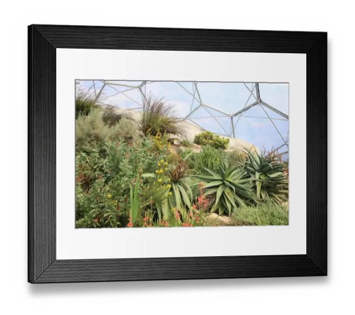 Framed Print : Eden Project Framed Print : Eden Project