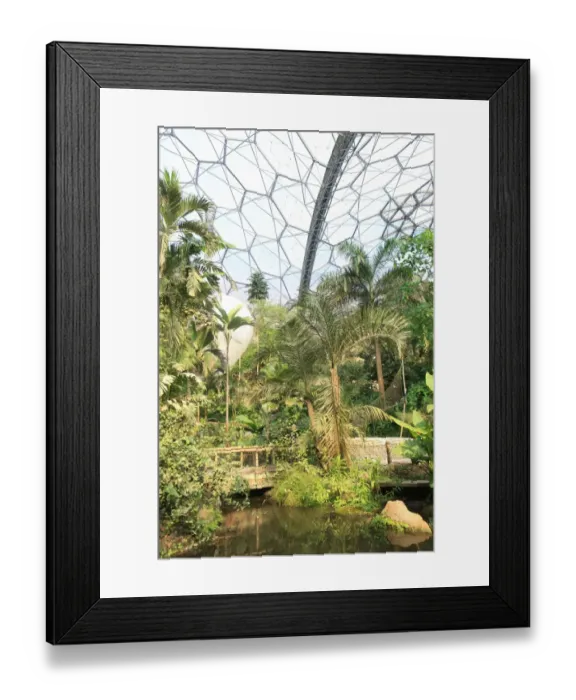Framed Print : Eden Project Framed Print : Eden Project