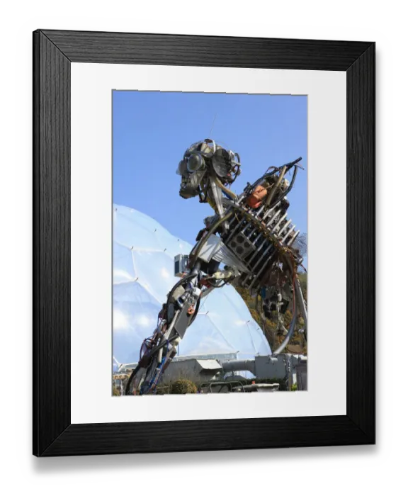 Framed Print : Eden Project Framed Print : Eden Project