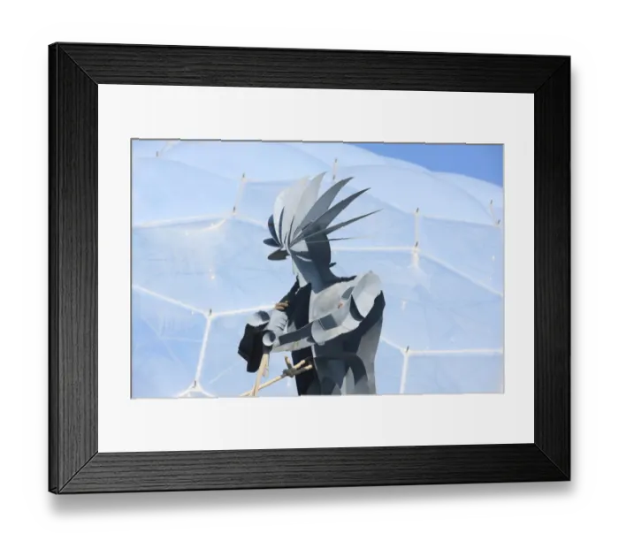 Framed Print : Eden Project