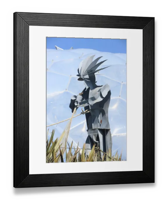 Framed Print : Eden Project Framed Print : Eden Project