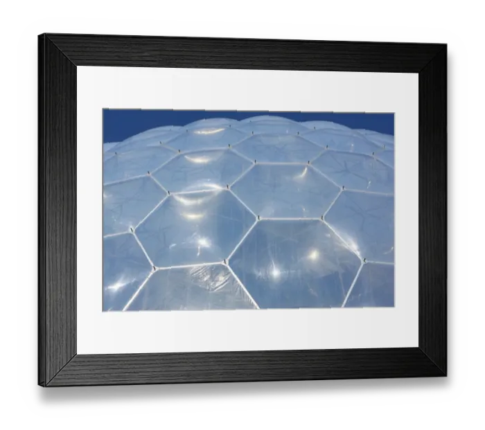 : Eden Project : Eden Project