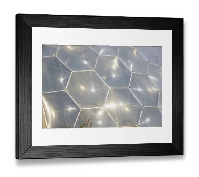 Framed Print : Eden Project Framed Print : Eden Project