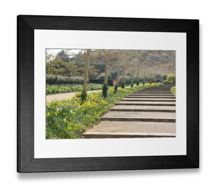 Framed Print : Eden Project