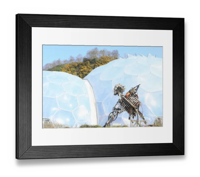 Framed Print : Eden Project Framed Print : Eden Project