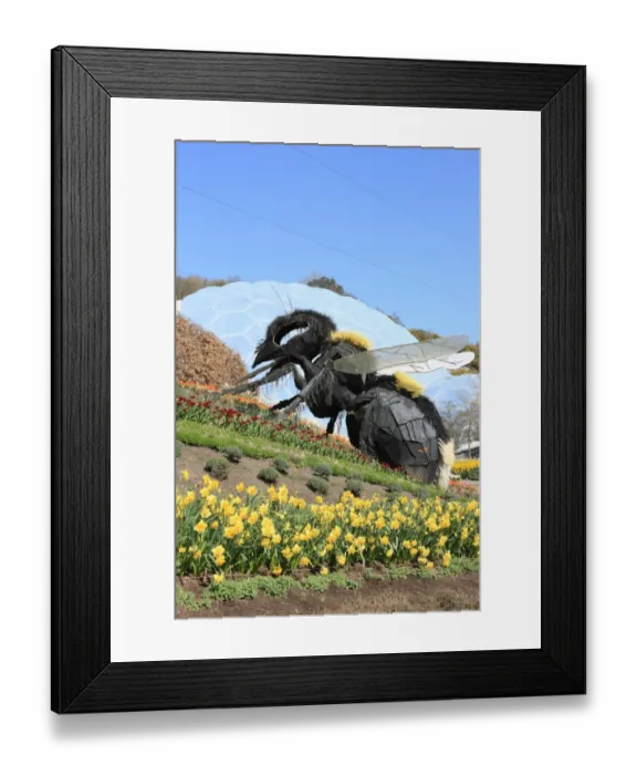 Framed Print : Eden Project Framed Print : Eden Project