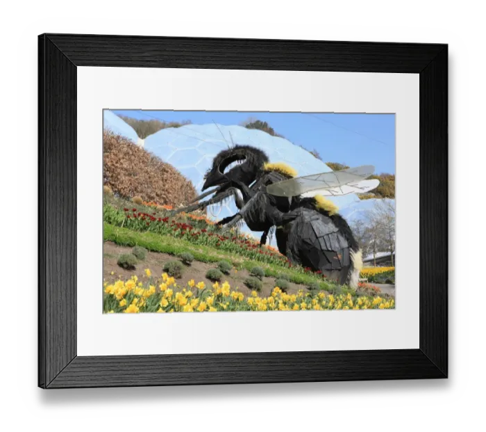 Framed Print : Eden Project Framed Print : Eden Project
