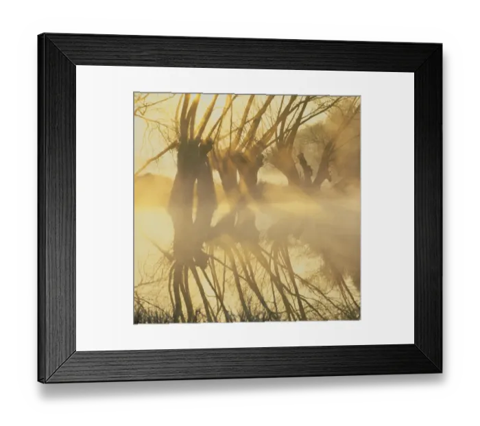 Framed Print : The Thames at Oxford Framed Print : The Thames at Oxford