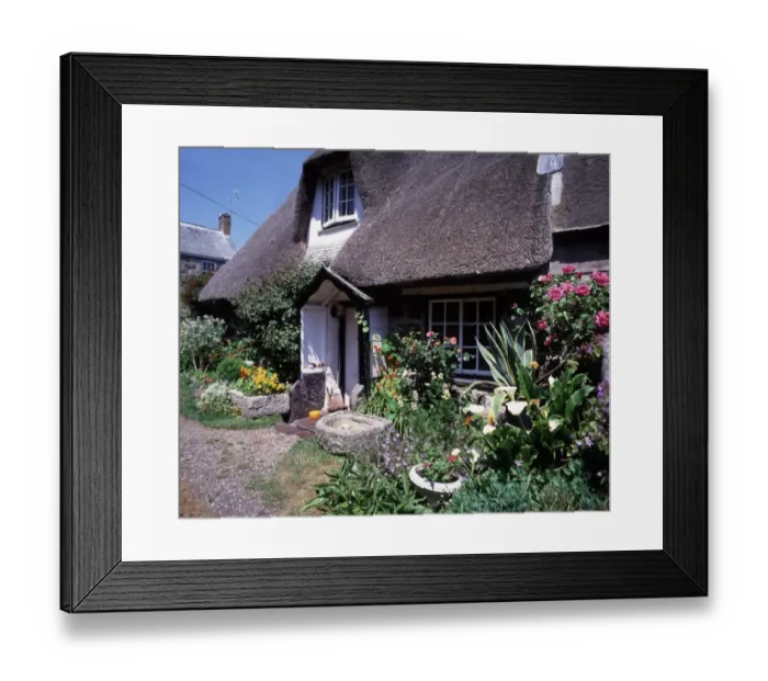 Framed Print : THE LIZARD