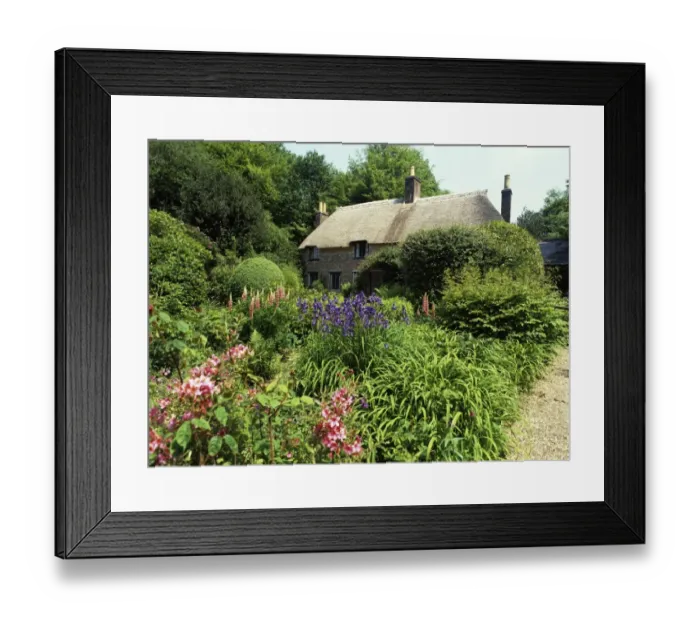 Framed Print : Higher Bockhampton