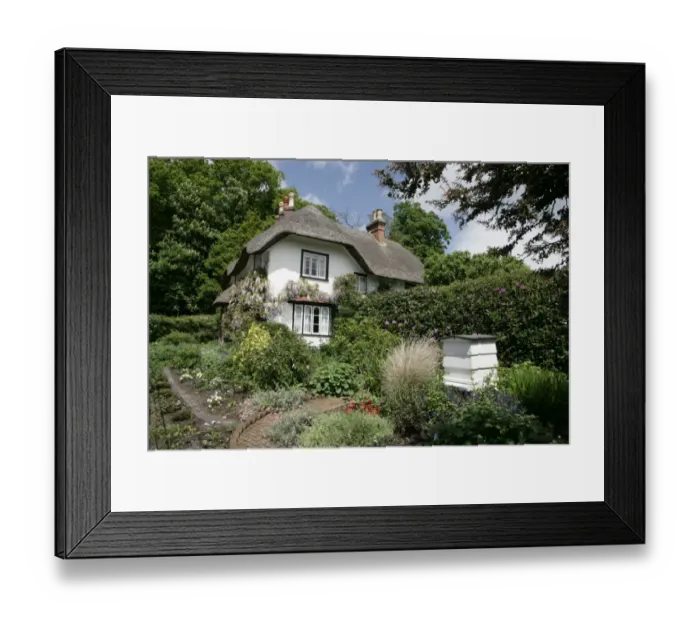 Framed Print : Swan Green