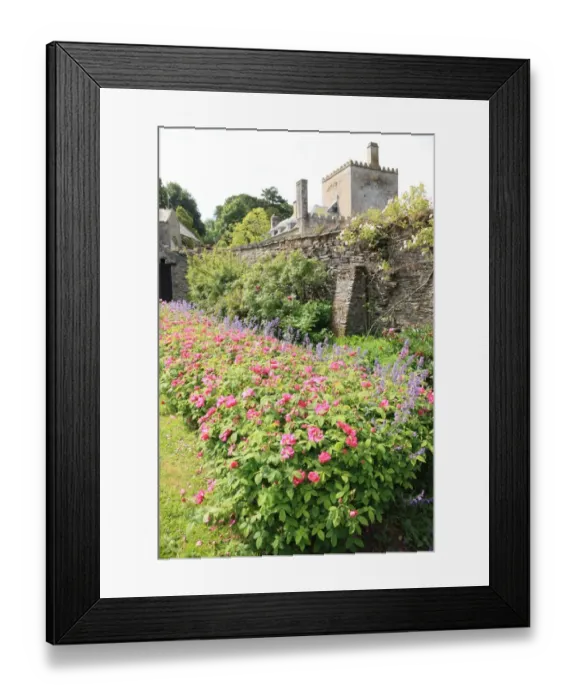 Framed Print : Buckland Abbey