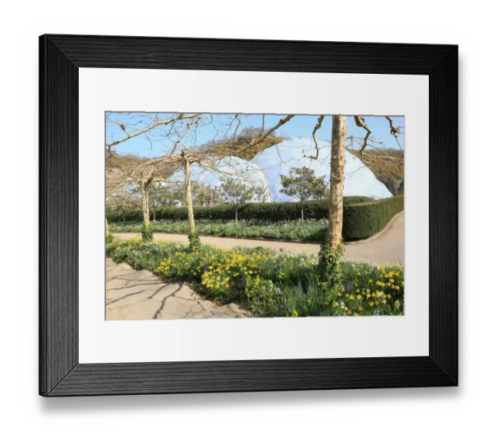 Framed Print : Eden Project Framed Print : Eden Project