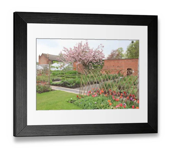 Framed Print : Hampton Court Castle Framed Print : Hampton Court Castle