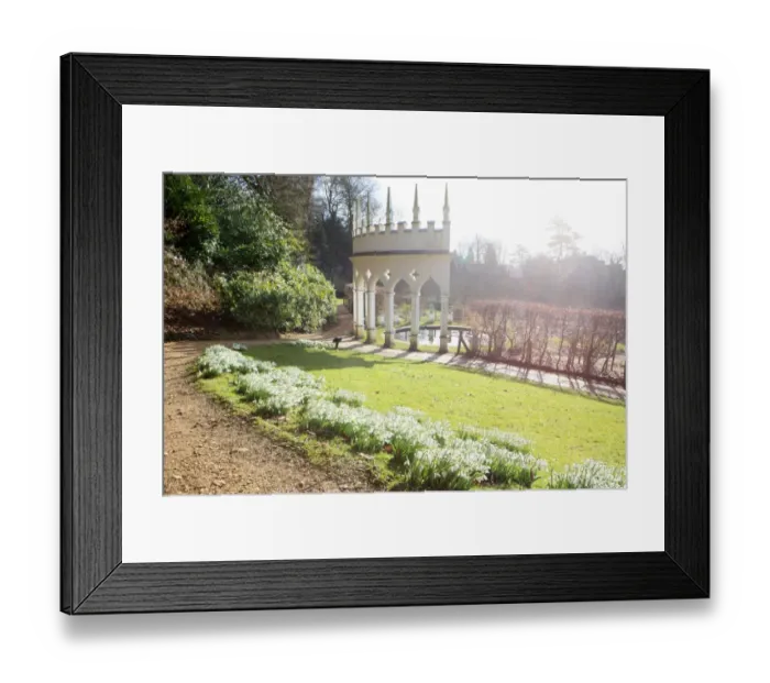 Framed Print : Painswick. Snowdrops at the Rococo Gardens Painswick Framed Print : Painswick. Snowdrops at the Rococo Gardens Painswick