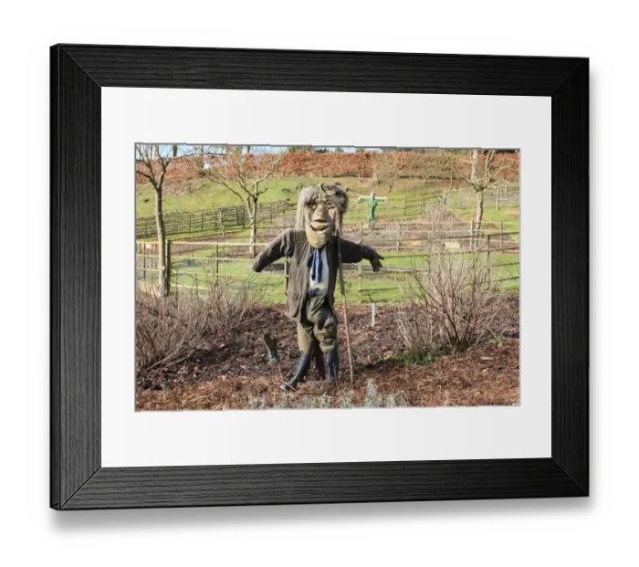 Framed Print : Painswick Rococo Gardens Framed Print : Painswick Rococo Gardens