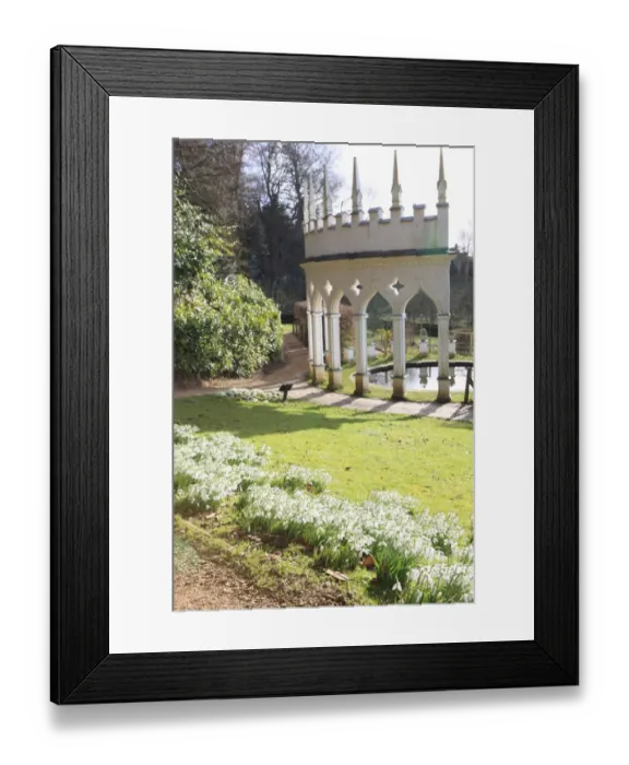 Framed Print : Painswick. Snowdrops at the Rococo Gardens Painswick