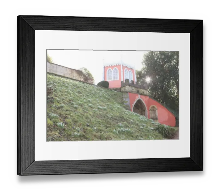 Framed Print : Painswick. Snowdrops at the Rococo Gardens Painswick Framed Print : Painswick. Snowdrops at the Rococo Gardens Painswick