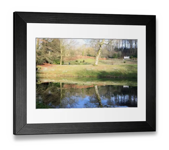 Framed Print : Painswick. Snowdrops at the Rococo Gardens Painswick