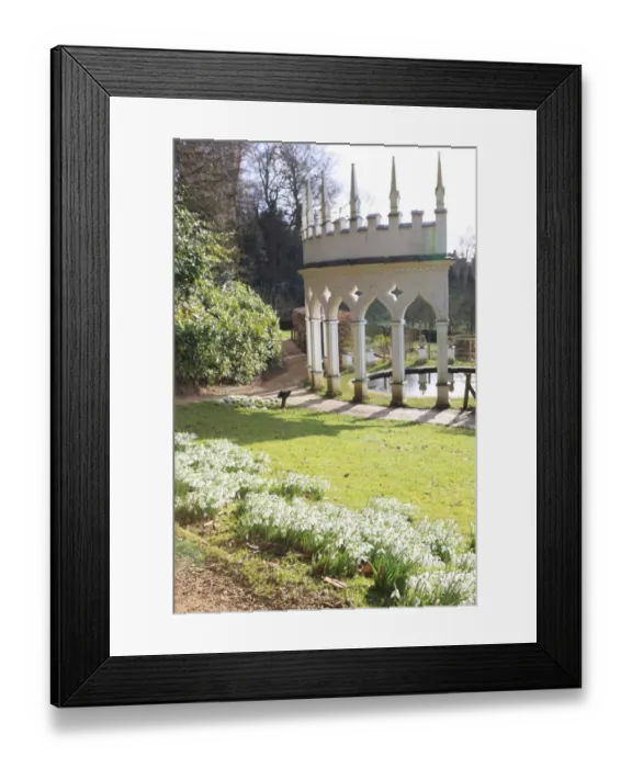 Framed Print : Painswick. Snowdrops at the Rococo Gardens Painswick Framed Print : Painswick. Snowdrops at the Rococo Gardens Painswick
